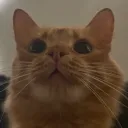 oosae