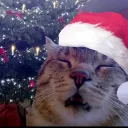 Аватар ansi0191