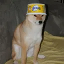 vegariz