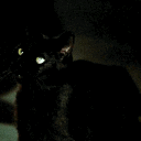 a.