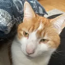 misskier1