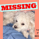 avatar bigbootygandalf