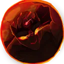 ignredd