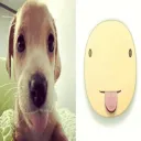 stickedystick