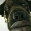 smilly__#5433's avatar