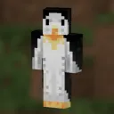 penguinslippers