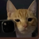 avatar 𝓳𝓾𝓱𝓽𝓻𝓷 変な