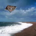 qtzazu