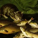 ketfishyl