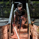 avatar XVI Roses (US-W)