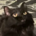 axrnm