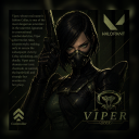 Discord Avatar