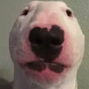 walter_._._