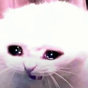zcreamy