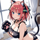 lobolunar667 member profile picture
