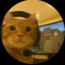 lysbtw