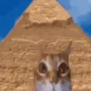 n3rmis