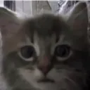 hexd__ avatar
