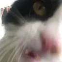 marc_7487