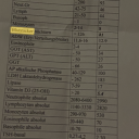 avatar die Katastrophe