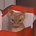 bendra