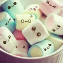 marshmallow5047 avatar