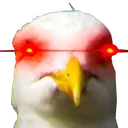 angrymouette