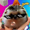 bigchonzer
