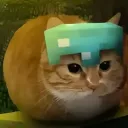 bigmiau513