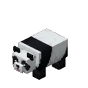 pandawithavibe