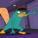 wirzims