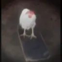 skate.board.chicken