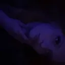 hopelessnessesaside