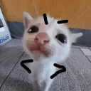 chickenwithagun5