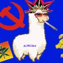 alpacasquartalama