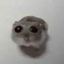 panicvfx