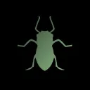 aphid_ai