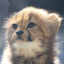 avatar .  ࣪˖ juli ׁ ׅ‧´ཀ