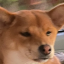 bigdawg5242#2642's avatar