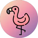 .vivino