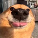 le_boink