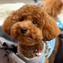 avatar findmeaunicorn