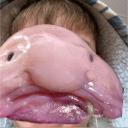 fweddiedwedd