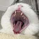 _takishita