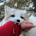 vulpexie