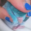 .asshley