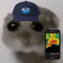 bumpnrunyt