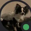 snilemb