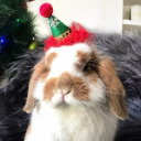 avatar Mephistopheles