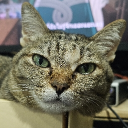 Discord Avatar